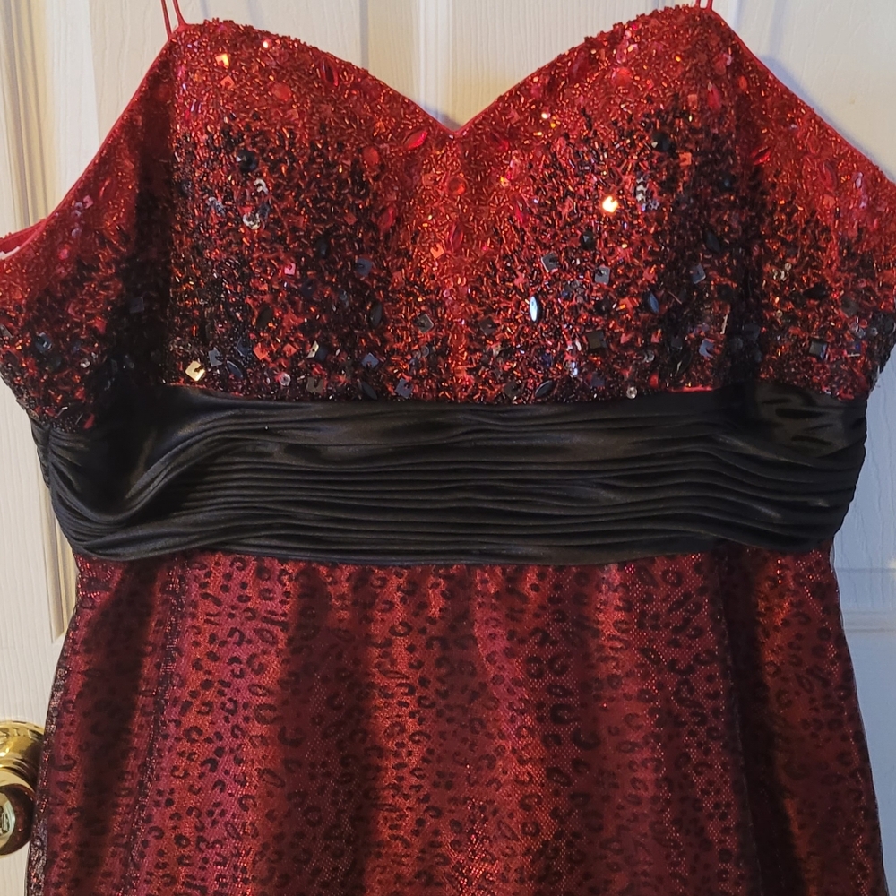 Riva Designs New Dress
